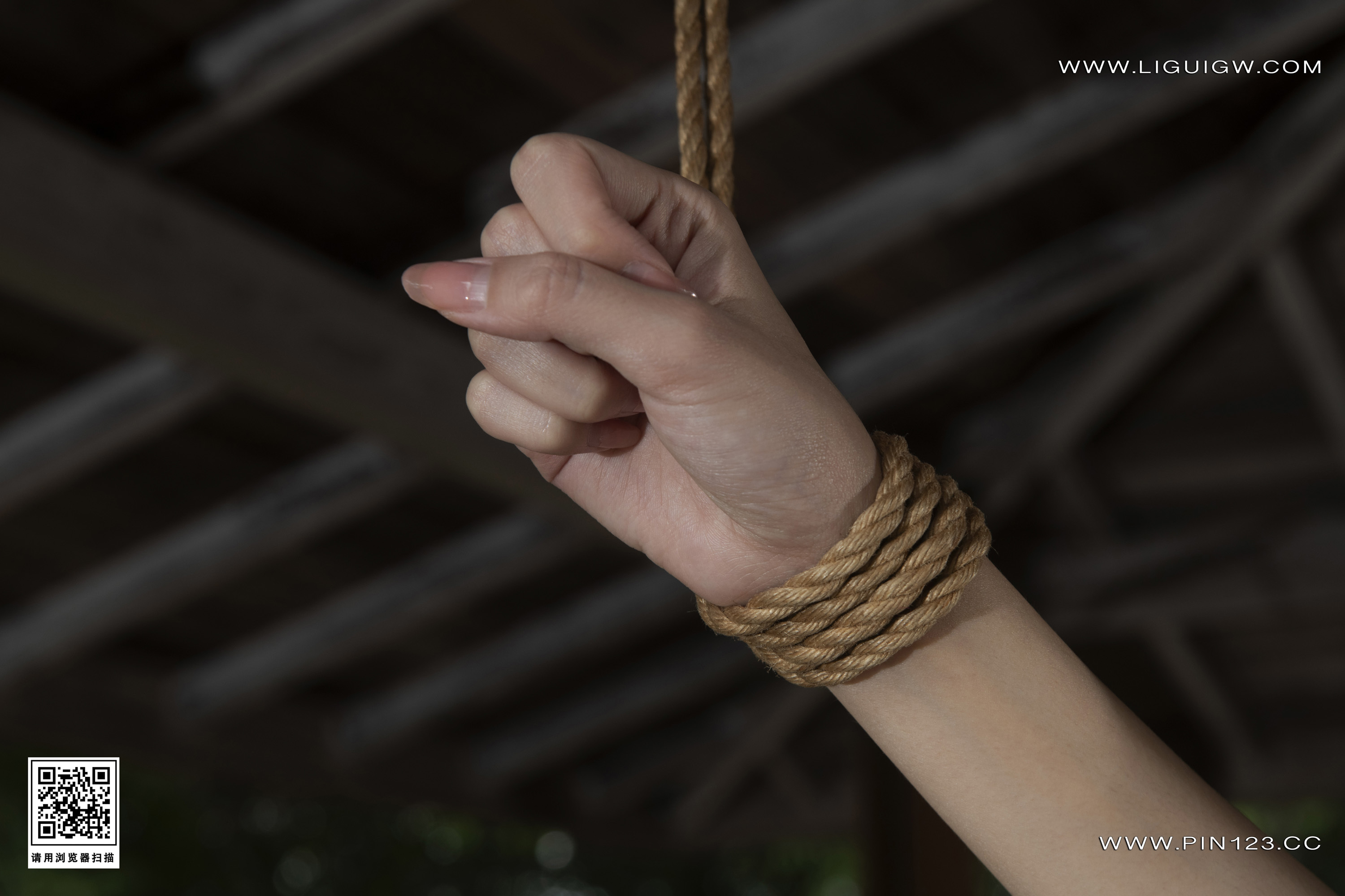 Ligui丽柜  2024.11.01 日本旅拍1 兔子 美束版